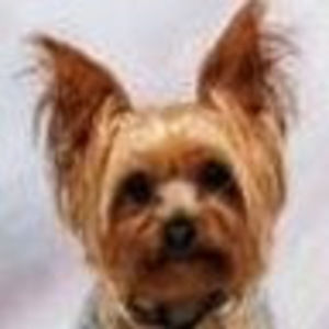 Meet your Posher, Cayla